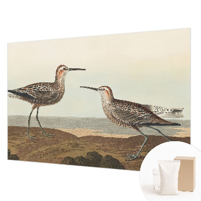 Vliesová fototapeta do obýváků Siluety ptáků