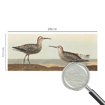 Vliesová fototapeta do obýváků Siluety ptáků