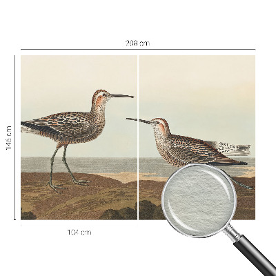 Vliesová fototapeta do obýváků Siluety ptáků