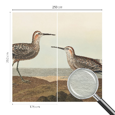 Vliesová fototapeta do obýváků Siluety ptáků