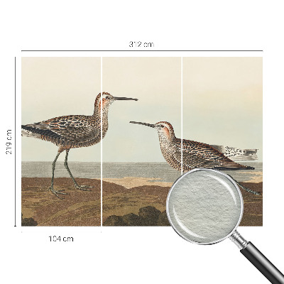 Vliesová fototapeta do obýváků Siluety ptáků