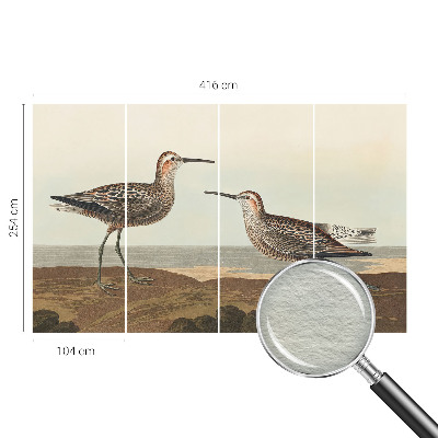 Vliesová fototapeta do obýváků Siluety ptáků