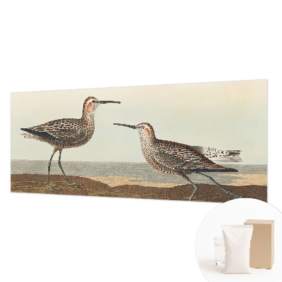 Vliesová fototapeta do obýváků Siluety ptáků