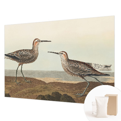 Vliesová fototapeta do obýváků Siluety ptáků