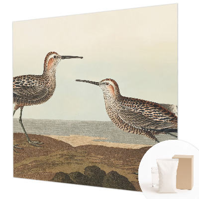 Vliesová fototapeta do obýváků Siluety ptáků