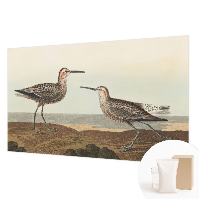 Vliesová fototapeta do obýváků Siluety ptáků