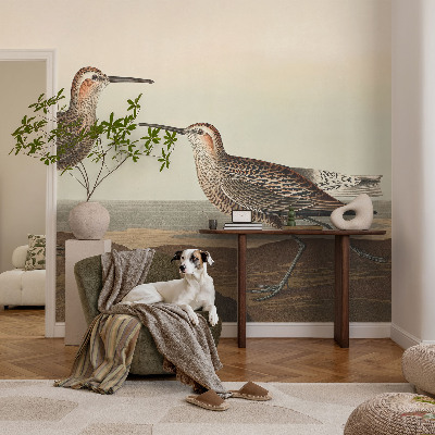 Vliesová fototapeta do obýváků Siluety ptáků