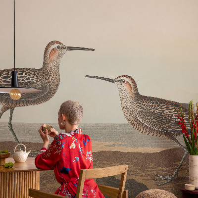 Vliesová fototapeta do obýváků Siluety ptáků