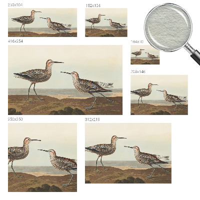 Vliesová fototapeta do obýváků Siluety ptáků