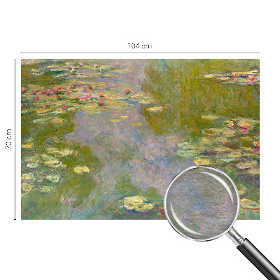 Fotografická tapeta vliesová Lekníny