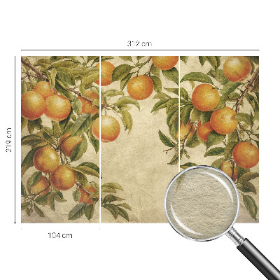 Fototapeta na zeď Ovocné větve