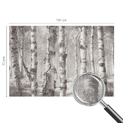 Vliesová fototapeta pro děti Březový les