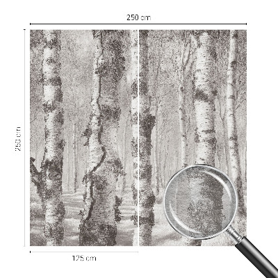 Vliesová fototapeta pro děti Březový les