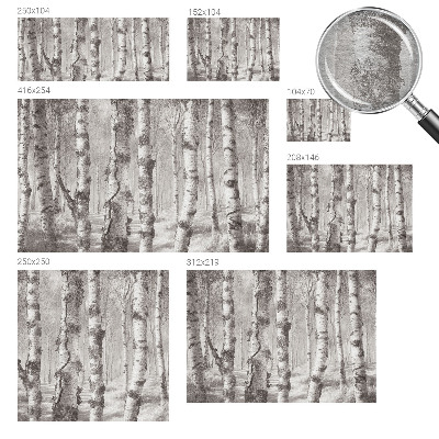 Vliesová fototapeta pro děti Březový les