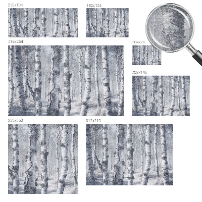 Fotografická tapeta vliesová Mrazivá příroda