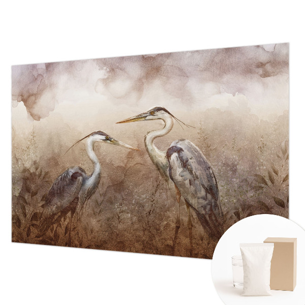 Fotografická tapeta na vliesu Elegantní ptáci