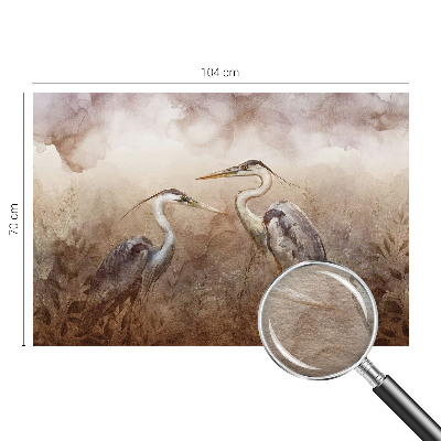 Fotografická tapeta na vliesu Elegantní ptáci