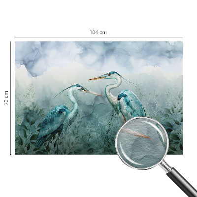 Fototapeta na míru do ložnice Ptáci přírody