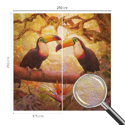 Fototapeta na stěnu Barevné tukani