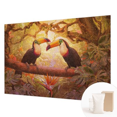 Fototapeta na stěnu Barevné tukani