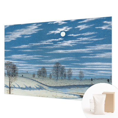 Vliesová fototapeta do obýváků Zimní krajina