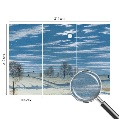 Vliesová fototapeta do obýváků Zimní krajina