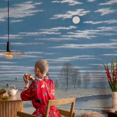 Vliesová fototapeta do obýváků Zimní krajina