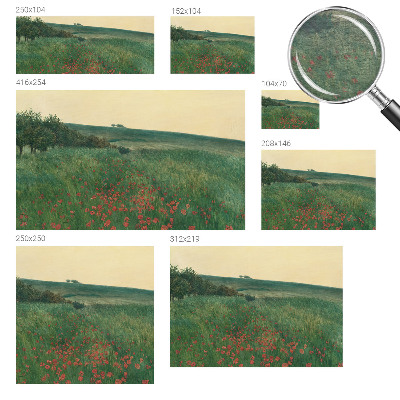 Vliesová fototapeta do ložnice Maková pole