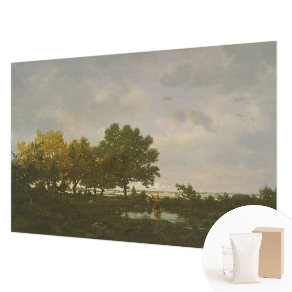 Fotografická tapeta vliesová Lesní krajina