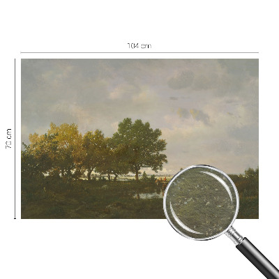 Fotografická tapeta vliesová Lesní krajina