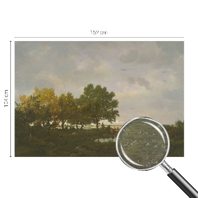 Fotografická tapeta vliesová Lesní krajina