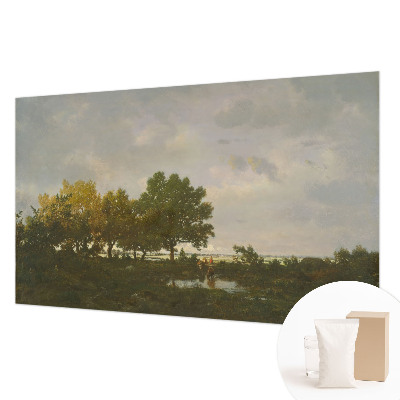 Fotografická tapeta vliesová Lesní krajina