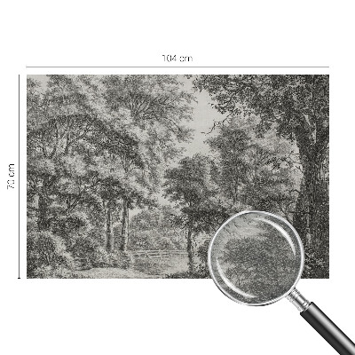 Fototapeta na míru do obýváku Lesní scenérie