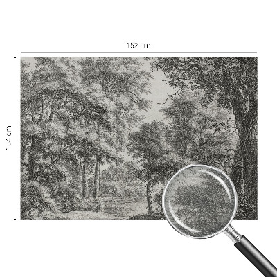 Fototapeta na míru do obýváku Lesní scenérie