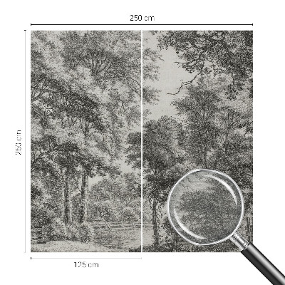 Fototapeta na míru do obýváku Lesní scenérie