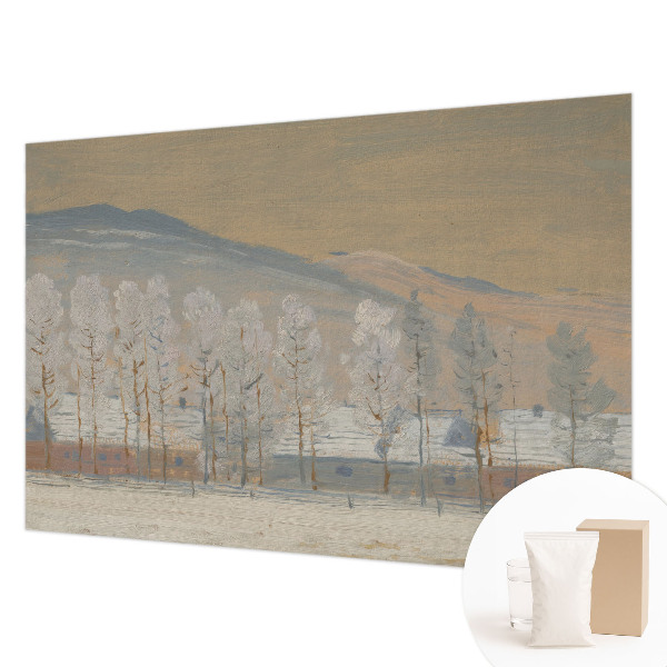 Dekorativní fototapeta na zeď Zimní krajina