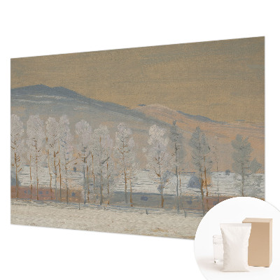 Dekorativní fototapeta na zeď Zimní krajina
