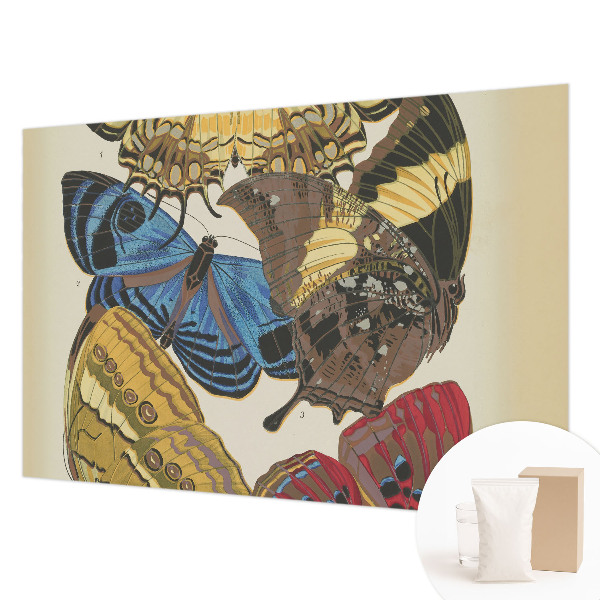 Fototapeta s potiskem na vliesu Inspirace motýly