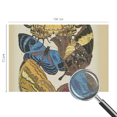 Fototapeta s potiskem na vliesu Inspirace motýly