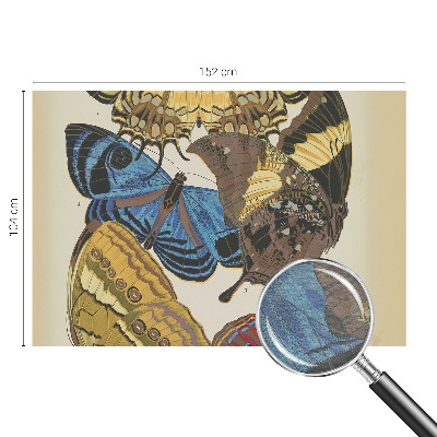 Fototapeta s potiskem na vliesu Inspirace motýly