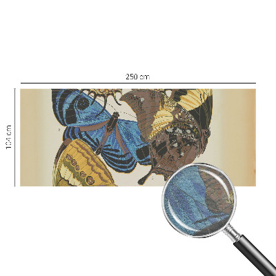 Fototapeta s potiskem na vliesu Inspirace motýly