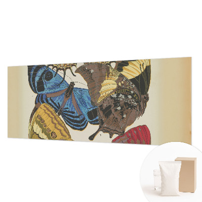 Fototapeta s potiskem na vliesu Inspirace motýly