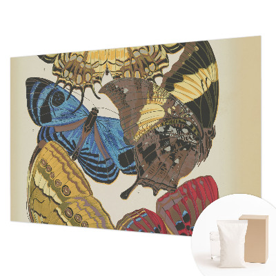 Fototapeta s potiskem na vliesu Inspirace motýly