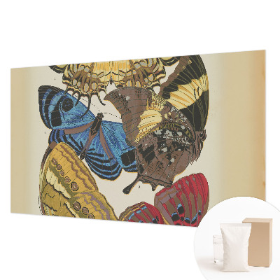 Fototapeta s potiskem na vliesu Inspirace motýly