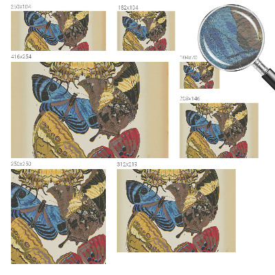 Fototapeta s potiskem na vliesu Inspirace motýly