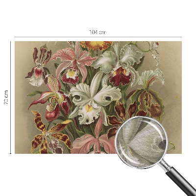 Moderní fototapeta na míru Květinová elegance