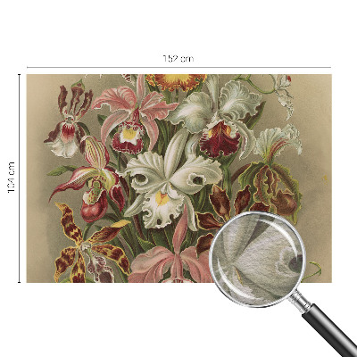 Moderní fototapeta na míru Květinová elegance