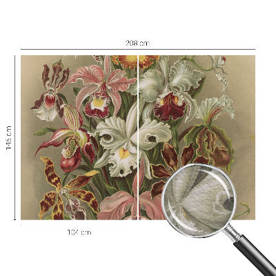 Moderní fototapeta na míru Květinová elegance