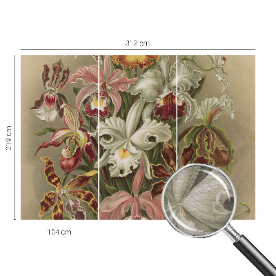 Moderní fototapeta na míru Květinová elegance