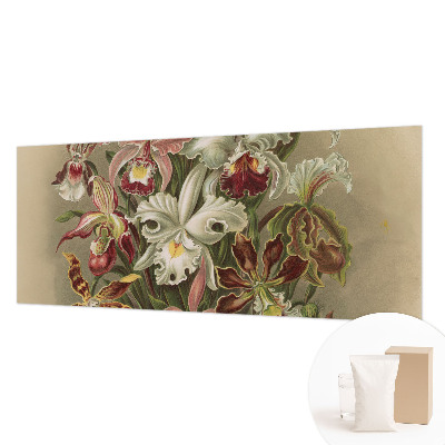 Moderní fototapeta na míru Květinová elegance